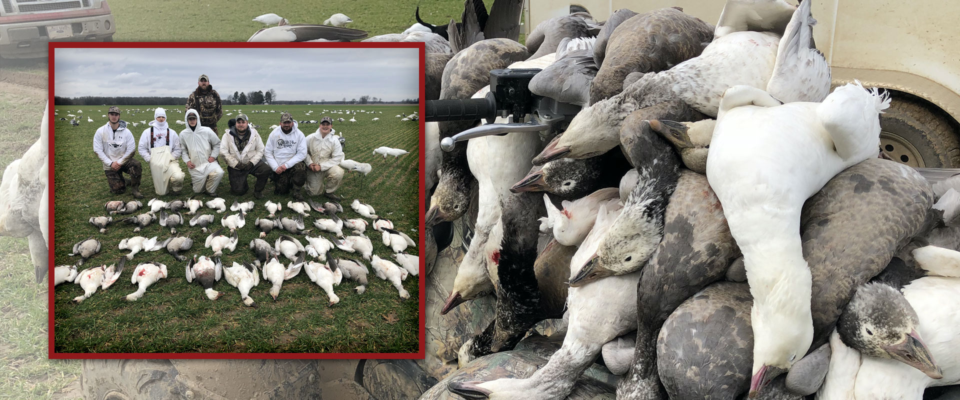 The Goose Guys - The best waterfowl hunting guide services in