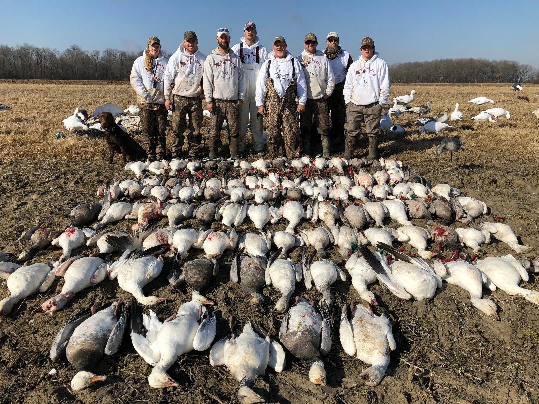 Goose hunting quebec canada hotsell